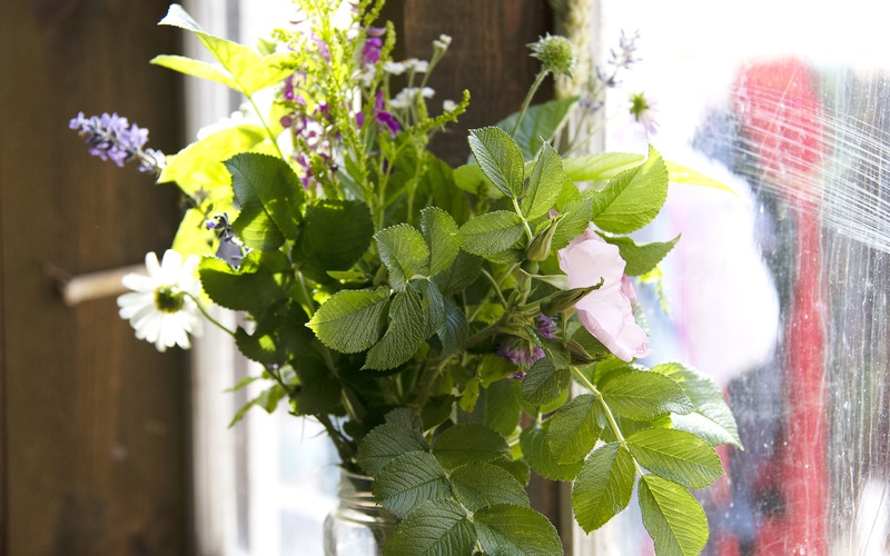 sommarblommor i vas