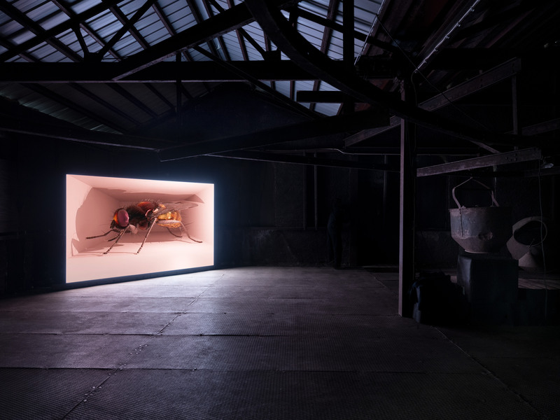 Tuomas A. Laitinen, The Earth is the Ear of the Bear, Foto: Mattias Lindbäck