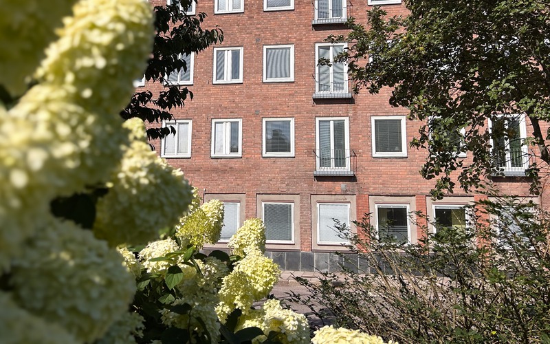 blommor framför en husfasad.