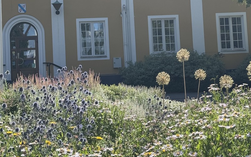 blommor.