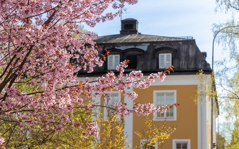 Stadshuset vår