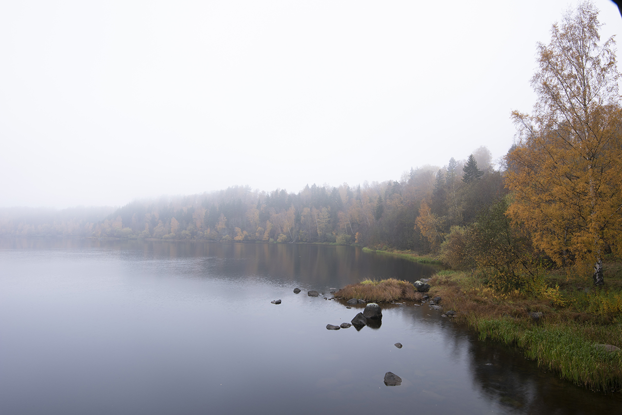 Älvpromenaden i ett smådimmigt höstljus. Vy över leden och vattnet